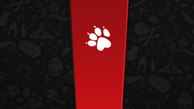 Naughty Dog logo on a red and grey background.