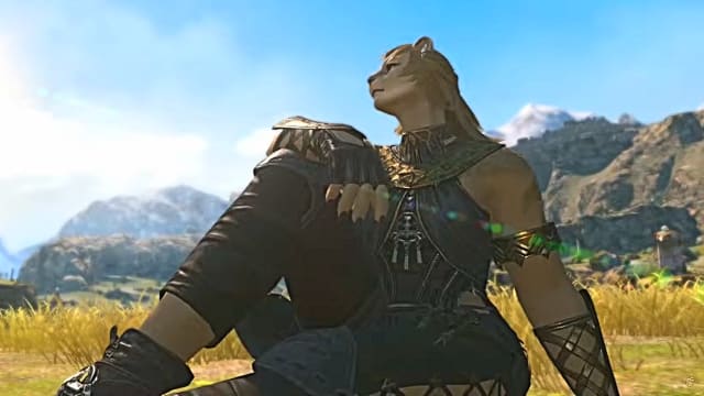 A Final Fantasy 14 female Hrothgar is shown, clad in black leather, and reclining in a grassy meadow while she gazes at the midday sun
