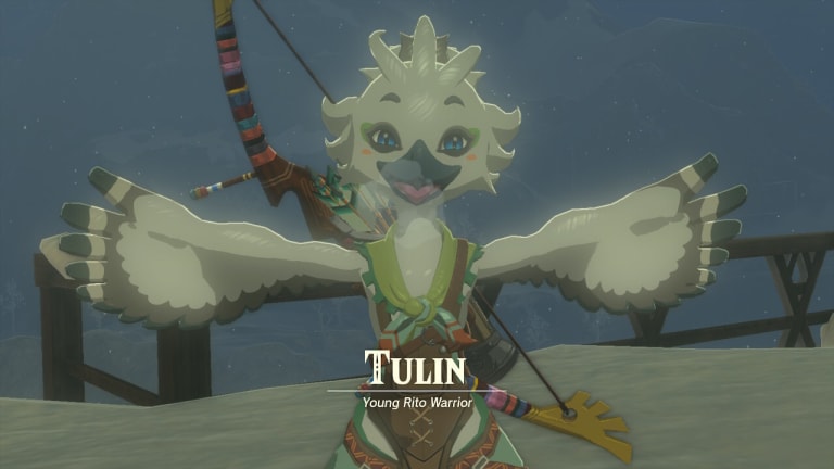 Zelda Tears of the Kingdom: Where’s Tulin?