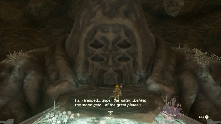 Zelda Tears of the Kingdom: All Bargainer Statue locations to trade Poes