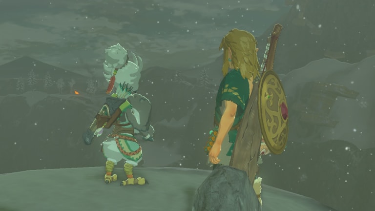 Zelda Tears of the Kingdom: Tulin of Rito Village quest