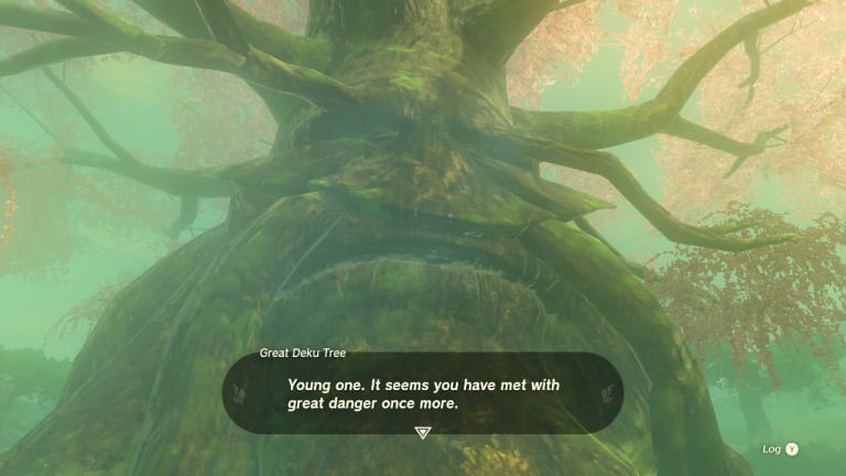 Zelda Tears of the Kingdom: How to get through the Lost Woods
