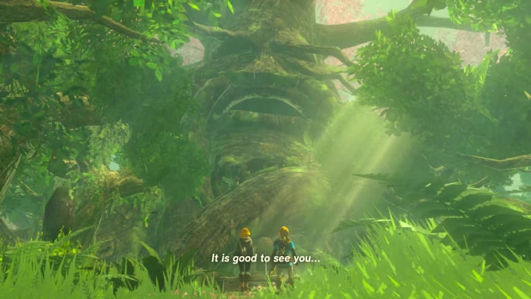 Zelda Tears of the Kingdom: How to cure the Great Deku Tree
