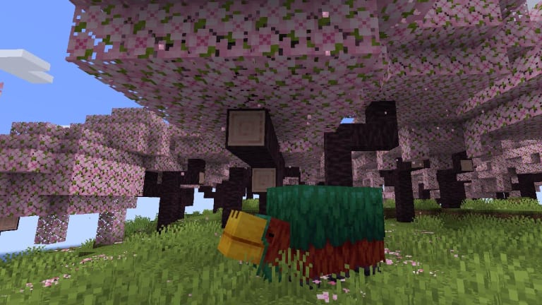 Minecraft gets a Cherry Blossom biome in update 1.20