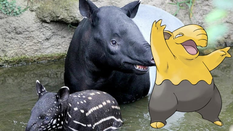 These five Pokémon are based on strange real-life animals