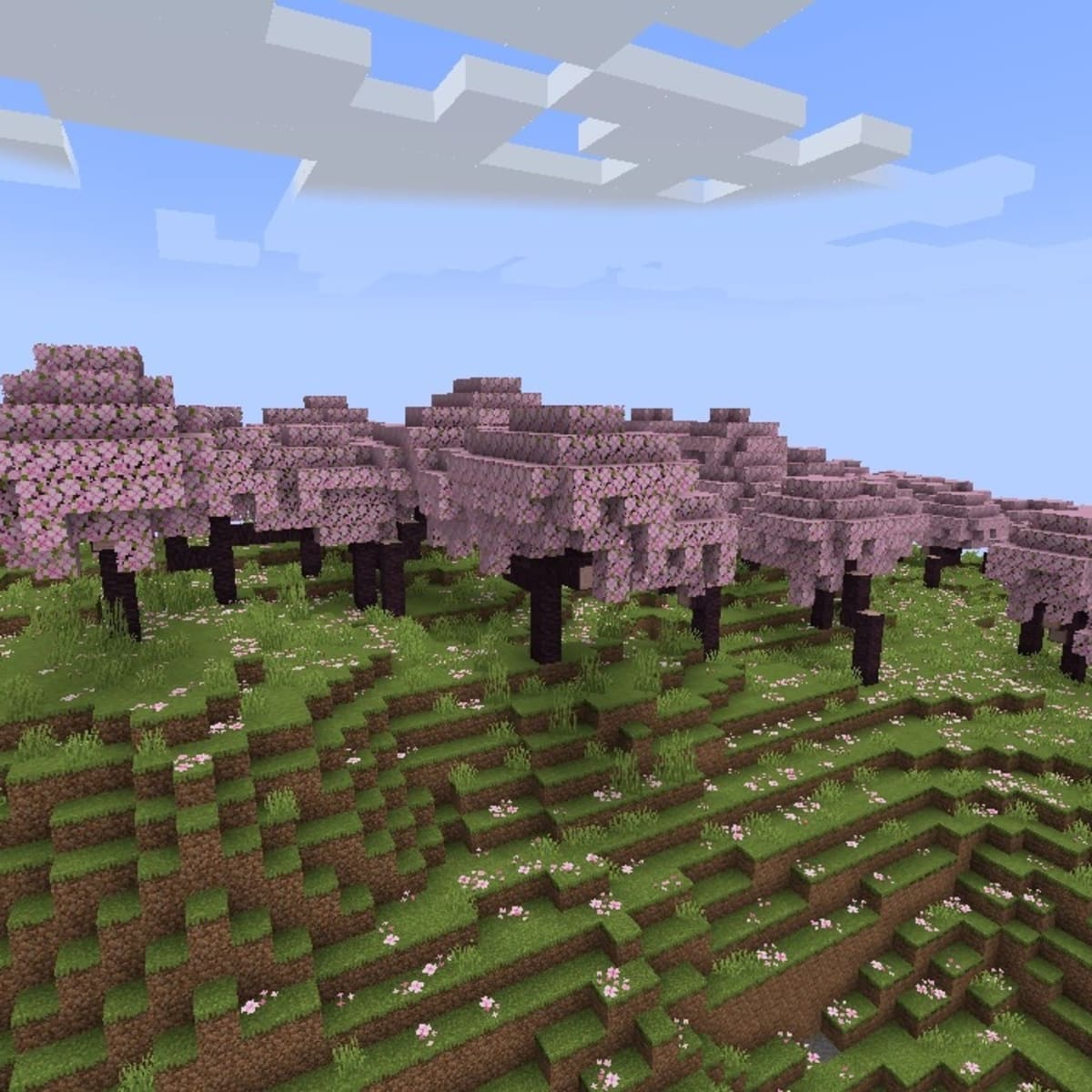 Minecraft 1.20: What We Know About Biomes, Mobs, & A Release Date
