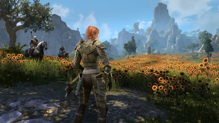 An armored woman looks at a field of sunflowers.