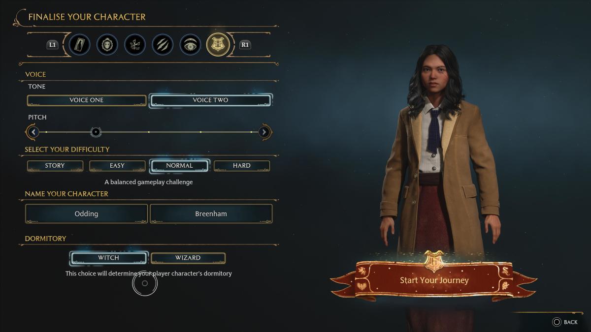 The Hogwarts Legacy character creator allows for a decent amount of gender flexibility.
