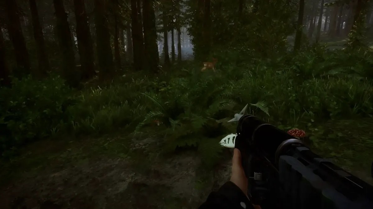 Sons of the Forest: where to find rope and the rope gun - Video