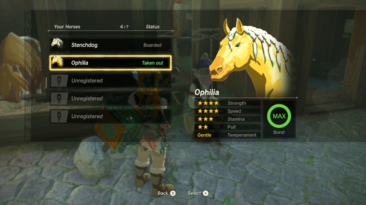 TOTK Zelda's Golden Horse stats