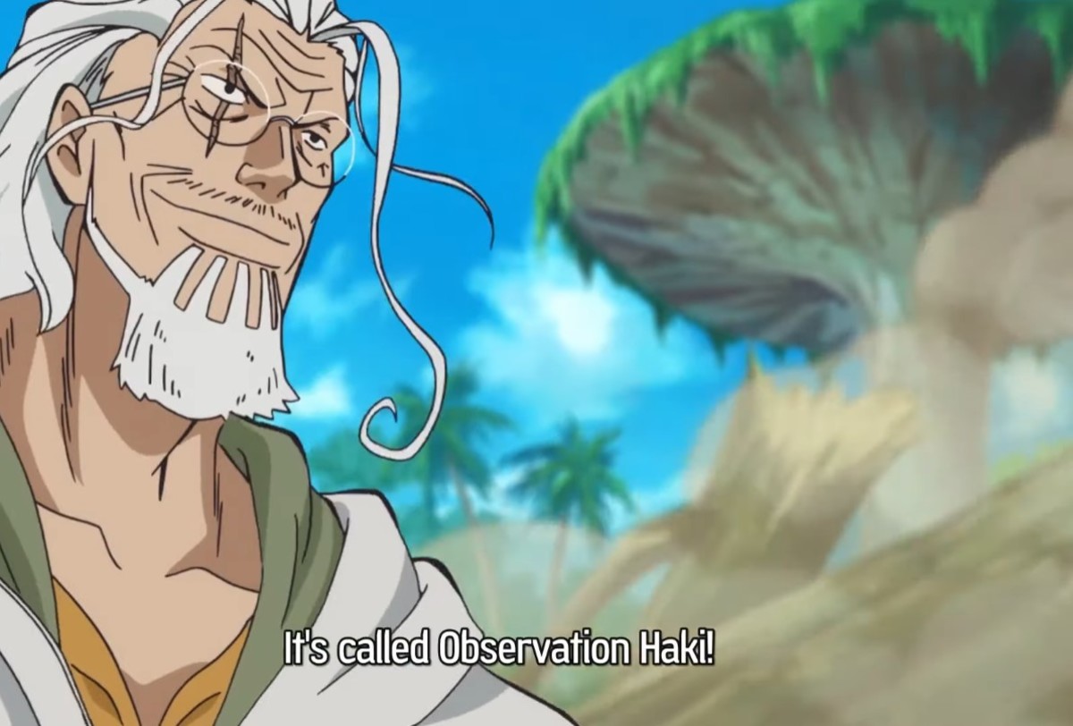 Haki can be translated as will, and is a key magic system in One Piece.