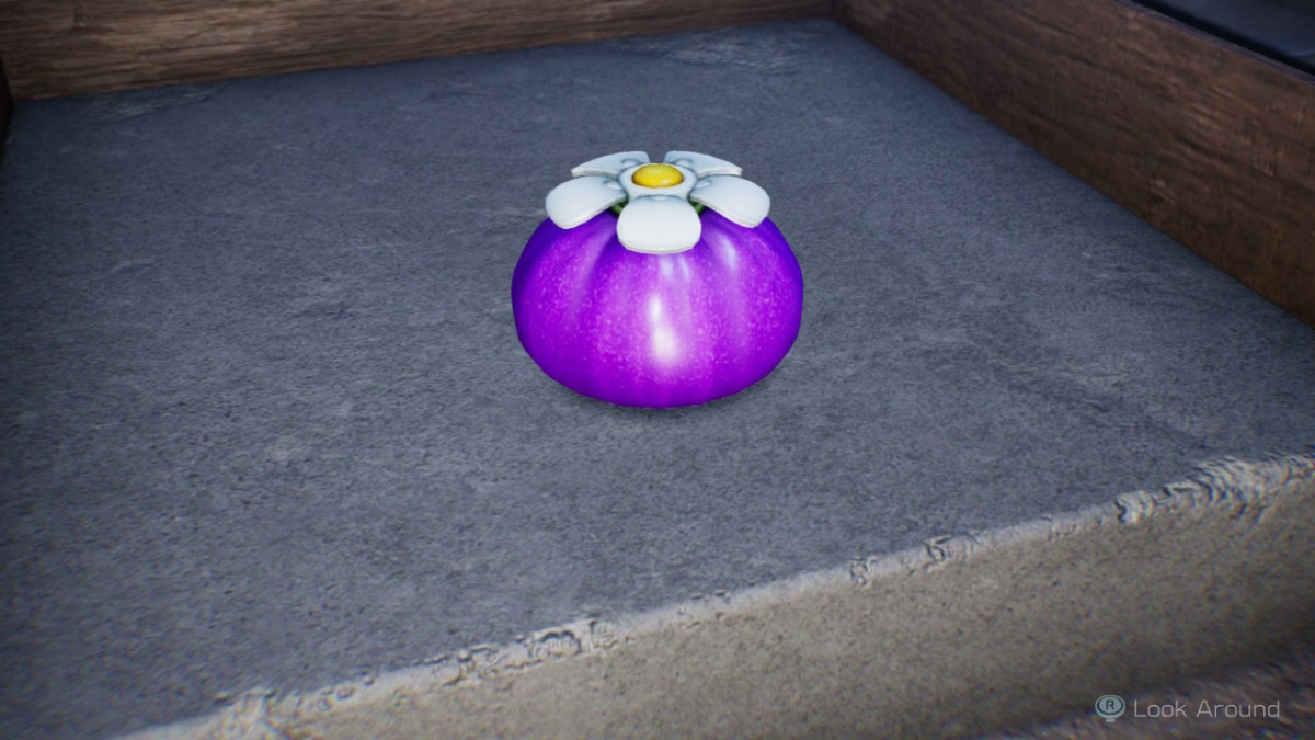 You can also get the Purple Onion from a late-game Dandori Challenge.