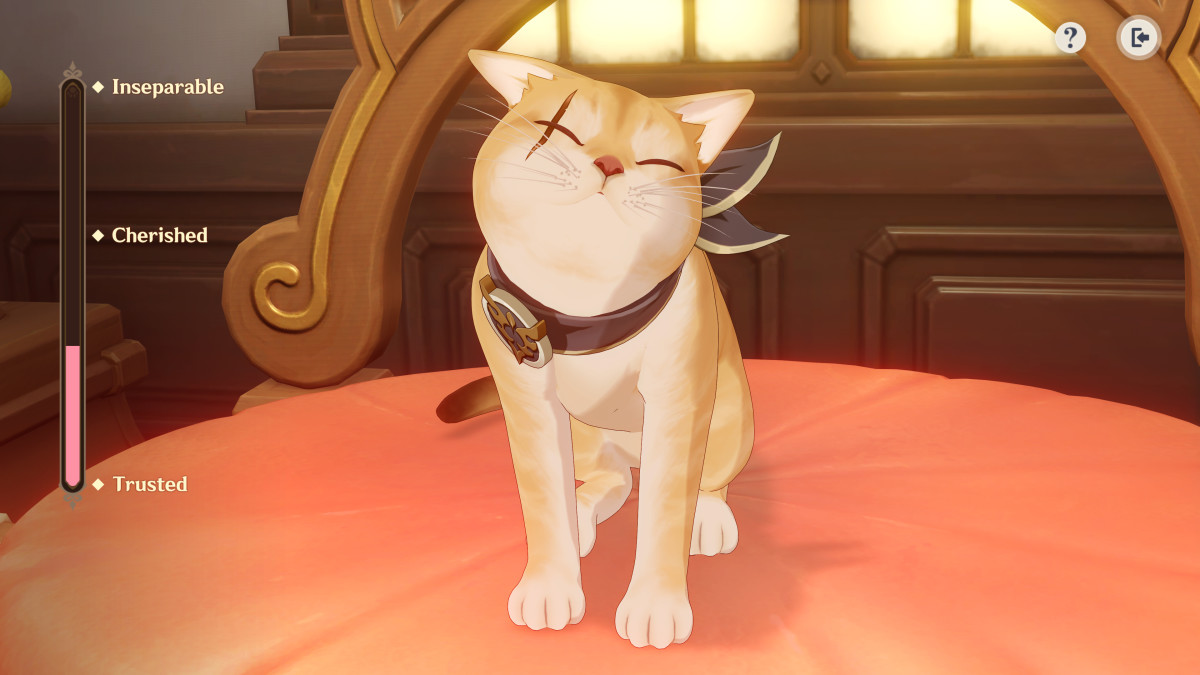 Genshin Impact screenshot of a happy cat.