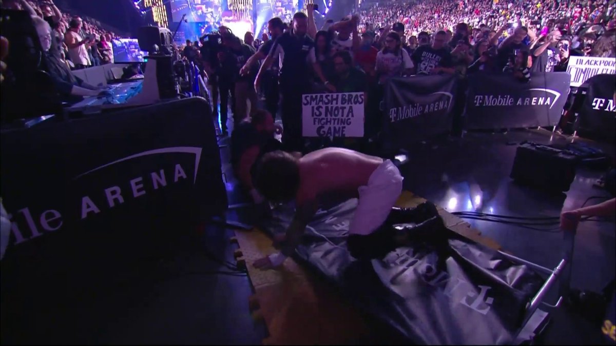 AEW fan sign that says "Smash Bros is not a fighting game"