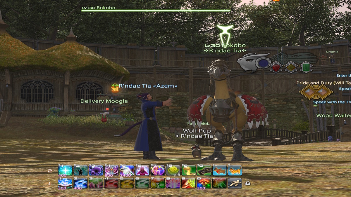 A FFXIV Miqo'te in a blue robe is standing in a village square with a large Chocobo, outfitted in red armor, standing next to him.